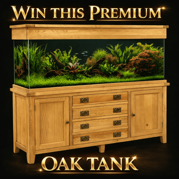 £1500 Jackpot & 880 Instant wins!