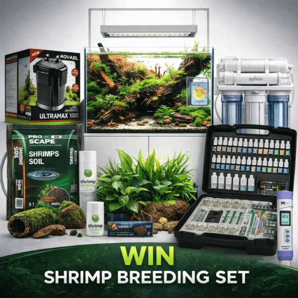 1 in 3 Wins! £1000 Main Draw